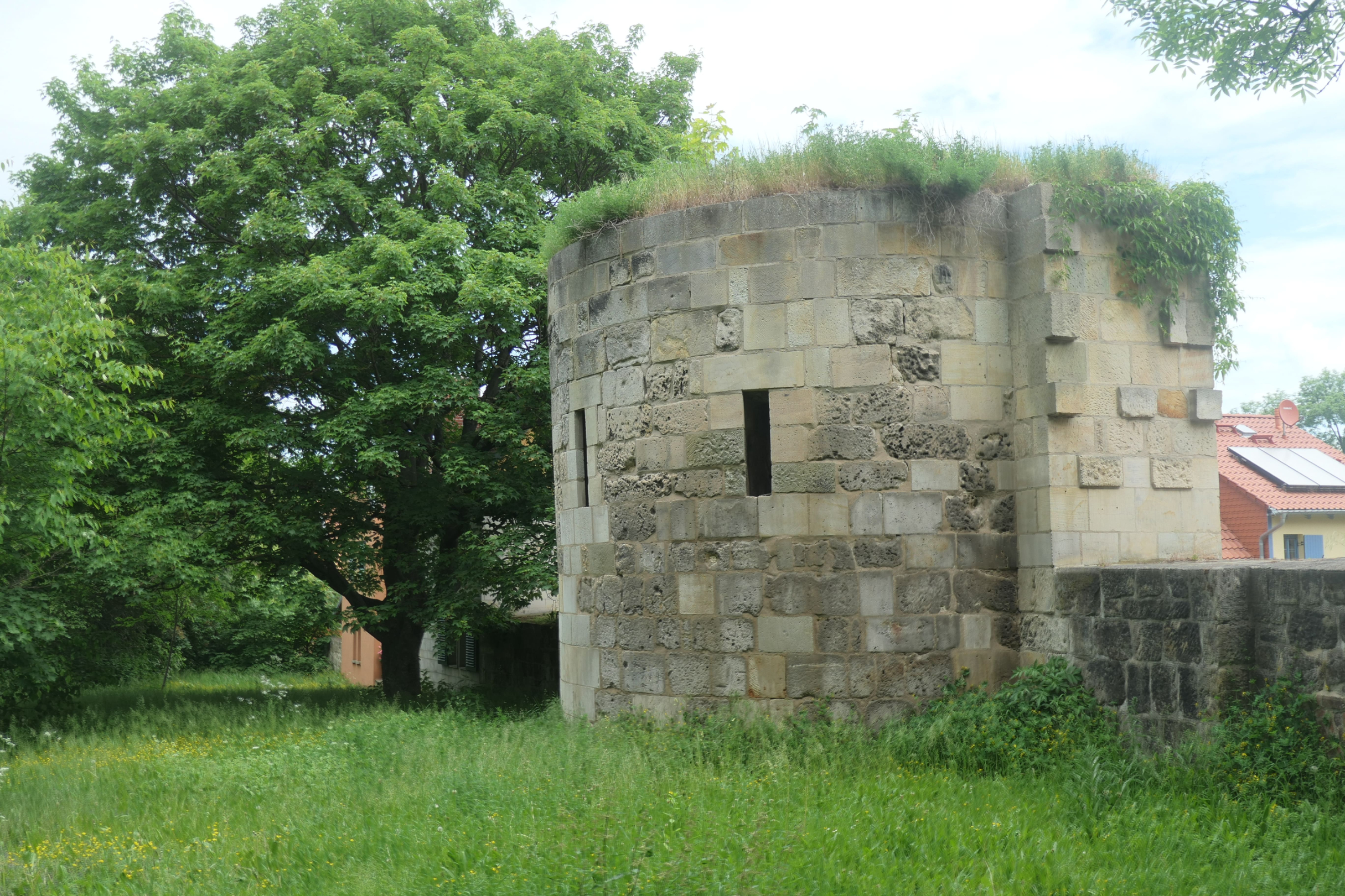 Halberstadt 13